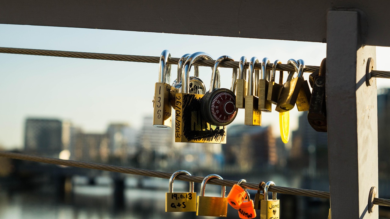 variety of locks on cable fence strand within city